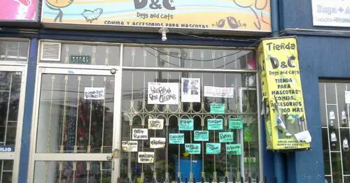 TIENDA D & C DOGS AND CATS BOGOTÁ TIENDA D & C DOGS AND CATS BOGOTÁ